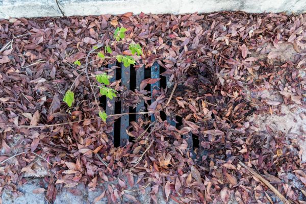 Yard Drain Unclogging in Strongsville