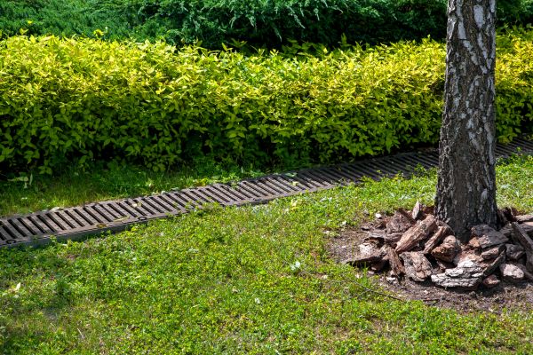Residential Landscape Drainage in Strongsville