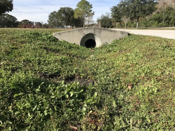 Cost of Swale Drainage Service in Strongsville